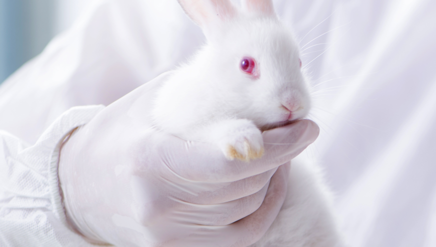 Animal-Free Testing